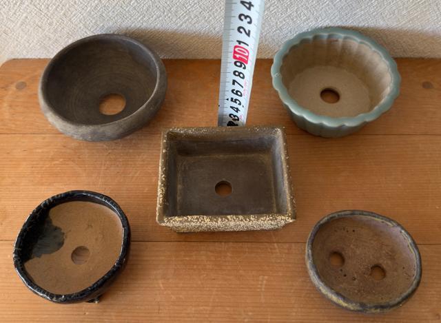 I 盆栽鉢 豆盆栽鉢 山野草鉢 多肉植物鉢 植木鉢 5鉢セット陶器製 < ペット/手芸/園芸 I 盆栽鉢 豆盆栽鉢 山野草鉢 多肉植物鉢 植木鉢 5鉢セット陶器製 < ペット/手芸/園芸の