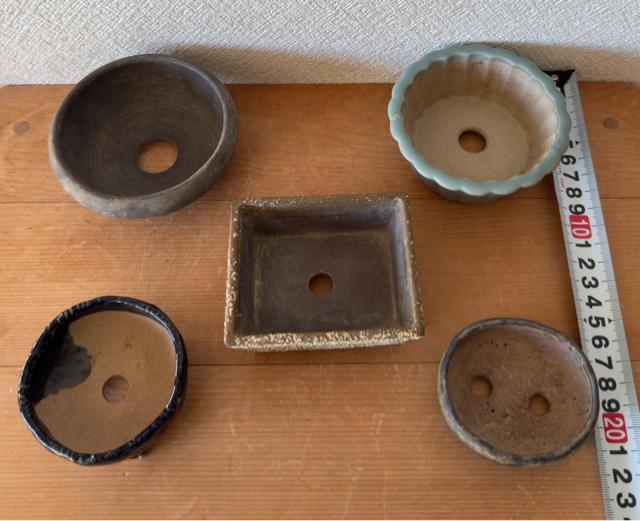 I 盆栽鉢 豆盆栽鉢 山野草鉢 多肉植物鉢 植木鉢 5鉢セット陶器製 < ペット/手芸/園芸 I 盆栽鉢 豆盆栽鉢 山野草鉢 多肉植物鉢 植木鉢 5鉢セット陶器製 < ペット/手芸/園芸の