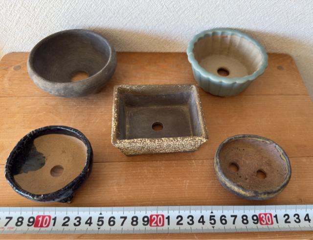 I 盆栽鉢 豆盆栽鉢 山野草鉢 多肉植物鉢 植木鉢 5鉢セット陶器製 < ペット/手芸/園芸 I 盆栽鉢 豆盆栽鉢 山野草鉢 多肉植物鉢 植木鉢 5鉢セット陶器製 < ペット/手芸/園芸の