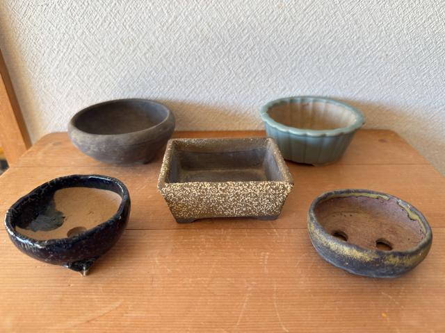 I 盆栽鉢 豆盆栽鉢 山野草鉢 多肉植物鉢 植木鉢 5鉢セット陶器製 < ペット/手芸/園芸 I 盆栽鉢 豆盆栽鉢 山野草鉢 多肉植物鉢 植木鉢 5鉢セット陶器製 < ペット/手芸/園芸の