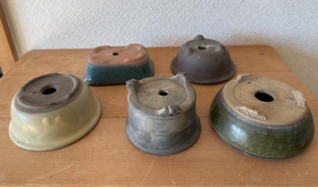 I 盆栽鉢 豆盆栽鉢 山野草鉢 多肉植物鉢 植木鉢 5鉢セット陶器製 < ペット/手芸/園芸 I 盆栽鉢 豆盆栽鉢 山野草鉢 多肉植物鉢 植木鉢 5鉢セット陶器製 < ペット/手芸/園芸の