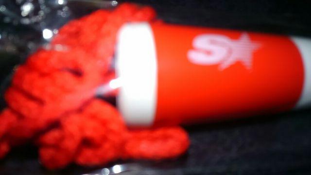 サザンオールスターズ1998年の20周年のボールペン < タレントグッズ  サザンオールスターズ1998年の20周年のボールペン < タレントグッズの