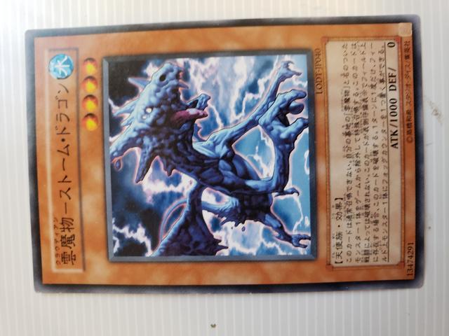 遊戯王【水・雲魔物-ストームドラゴン】 < トレーディングカード  遊戯王【水・雲魔物-ストームドラゴン】  < トレーディングカードの