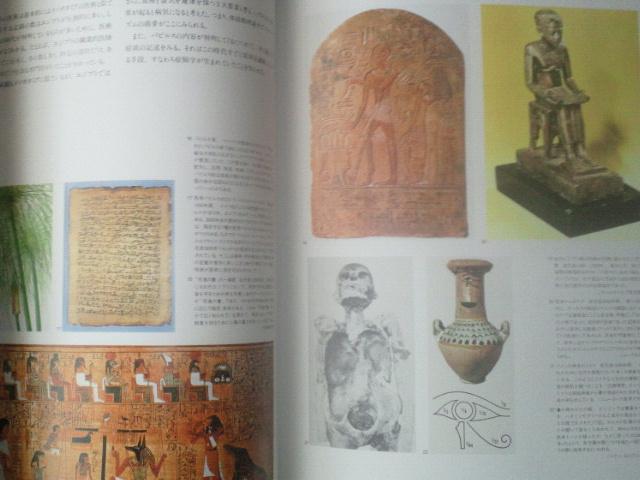 񔄕i Ï Ɛl(Man And Medicine) ЃXYP  {/G 