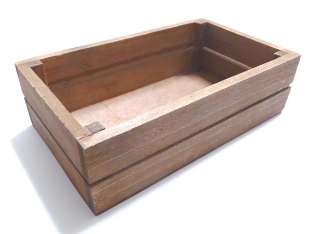 sNewtsalut!/TAeB[NEؐEt[{bNX//[Box  CeA/Ct 