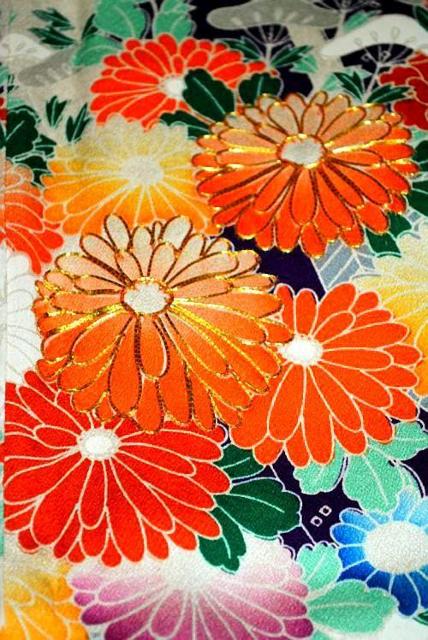 yōzVil VVE ̎q lgˉԕ  U g162 66 T3572  t@bV 