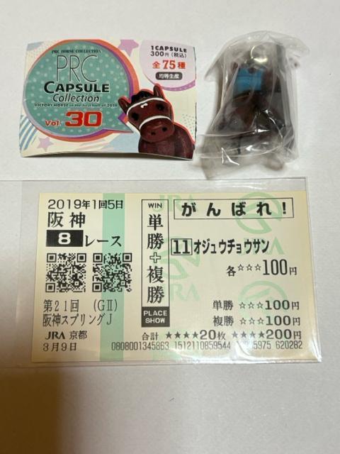 オジュウチョウサン★単勝+複勝的中応援馬券+フィギュアストラップセット < ホビー  オジュウチョウサン★単勝+複勝的中応援馬券+フィギュアストラップセット  < ホビーの