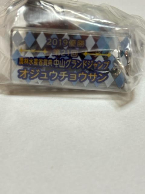オジュウチョウサン★単勝+複勝的中応援馬券+フィギュアストラップセット < ホビー  オジュウチョウサン★単勝+複勝的中応援馬券+フィギュアストラップセット < ホビーの