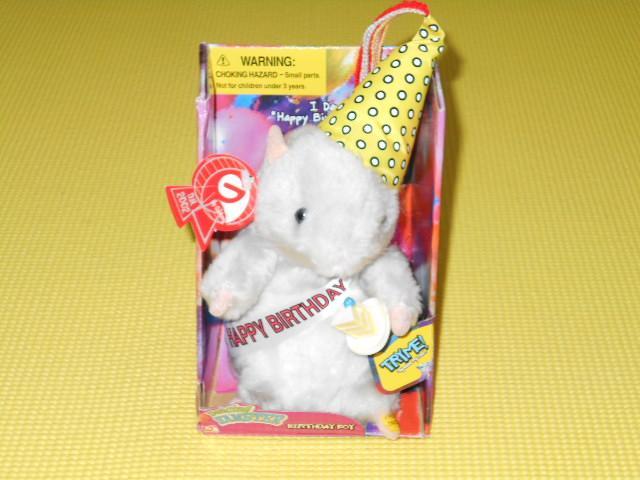 Dancing HAMSTERBIRTHDAY BOY    