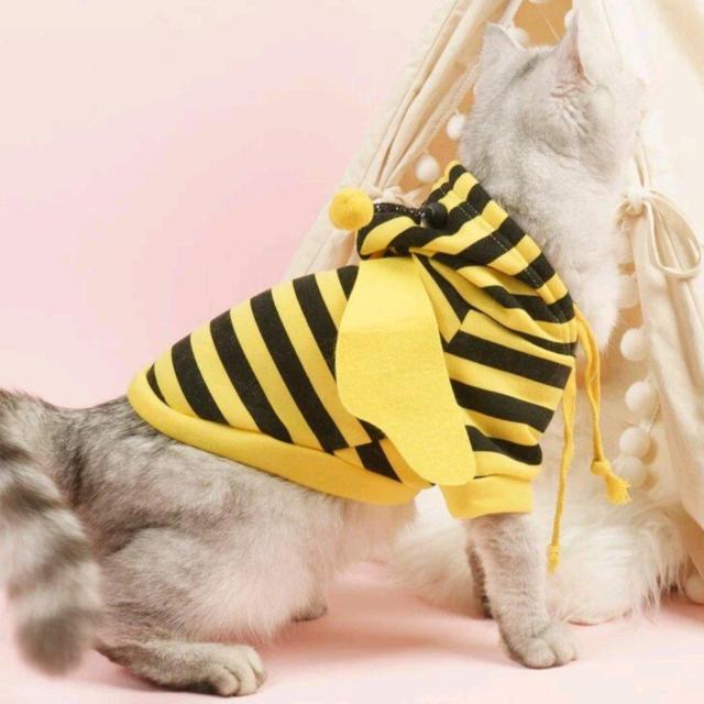 犬・猫★新品★ペット用蜂コスチュームスウェット/M < ペット/手芸/園芸  犬・猫★新品★ペット用蜂コスチュームスウェット/M < ペット/手芸/園芸の