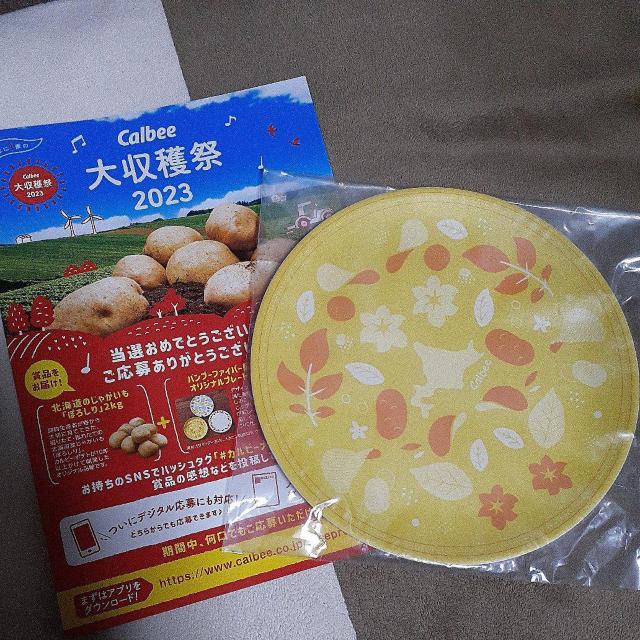 **当選**Calbeeバンブーファイバー配合オリジナルプレート < インテリア/ライフ  **当選**Calbeeバンブーファイバー配合オリジナルプレート  < インテリア/ライフの