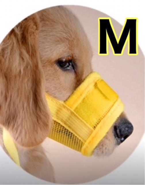 犬用 口輪 イエローM < ペット/手芸/園芸  犬用 口輪 イエローM  < ペット/手芸/園芸の