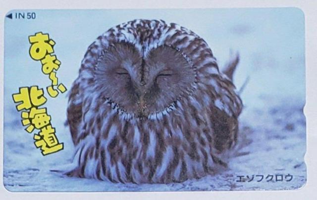 おぉ〜い北海道 エゾフクロウ < ホビー  おぉ〜い北海道 エゾフクロウ  < ホビーの