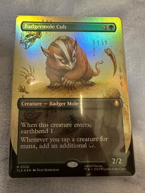 MTG FOIL �A�i�O�}���O���̎e�@�{�[�_�[���X  �� �g���[�f�B���O�J�[�h�� 