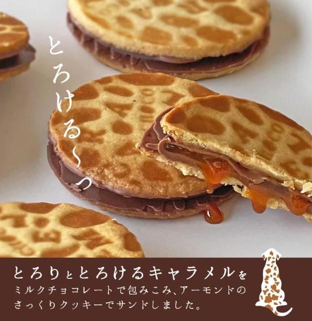 �y��b���{�܁z�L�������V�A��4���� �� �O����/�h�����N�� 