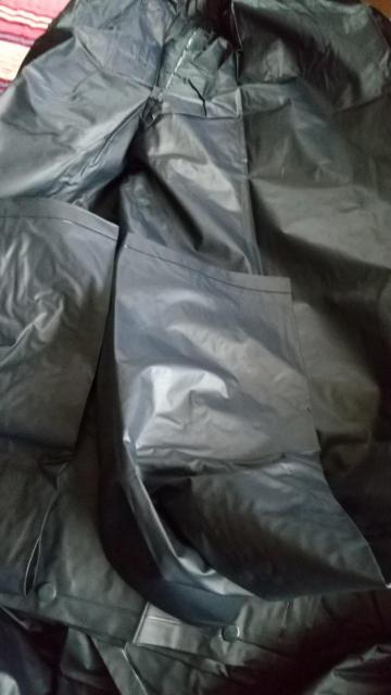 �V�i���C���R�[�g �� �j���t�@�b�V������ 