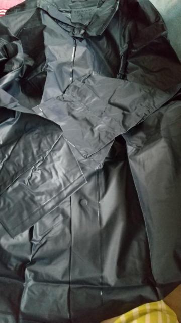 �V�i���C���R�[�g �� �j���t�@�b�V������ 