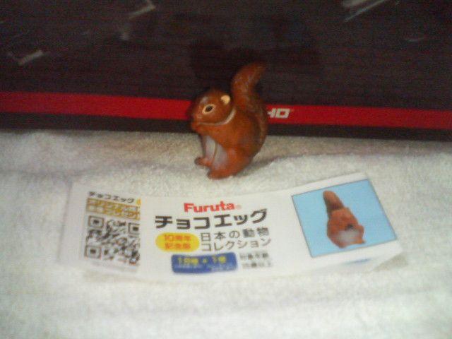 フルタ 日本の動物 10周年 ニホンリス(夏毛) < ホビー フルタ 日本の動物 10周年 ニホンリス(夏毛) < ホビーの