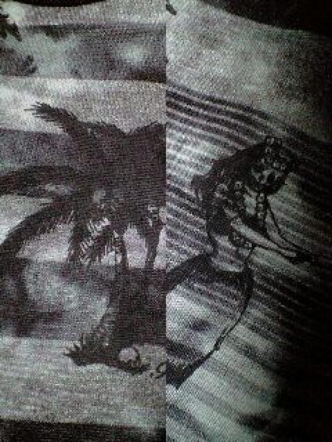 新品ROENロエン スワロフスキースカルタイダイ染ハワイアンボーダーカットソー S DAIGO着 < ブランド  新品ROENロエン スワロフスキースカルタイダイ染ハワイアンボーダーカットソー S DAIGO着 < ブランドの