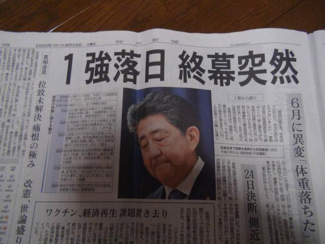 {񑊎ӕ\̓̐V!B  {/G 