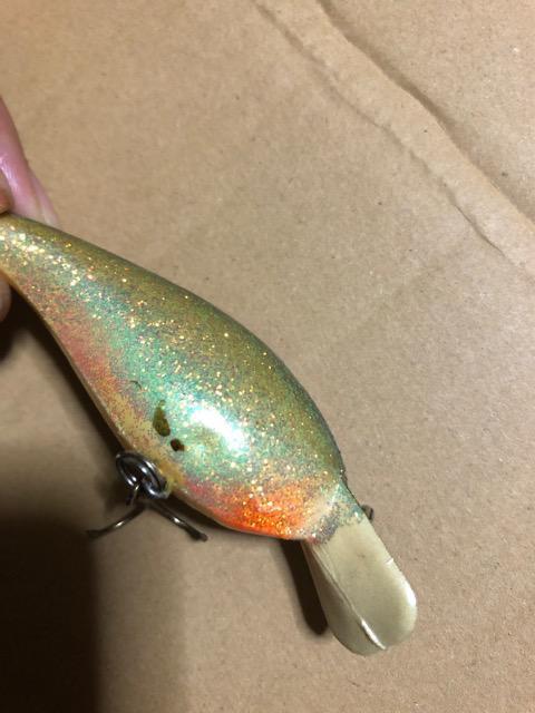 ノーマン クランク オールド < レジャー/スポーツ ノーマン クランク オールド < レジャー/スポーツの