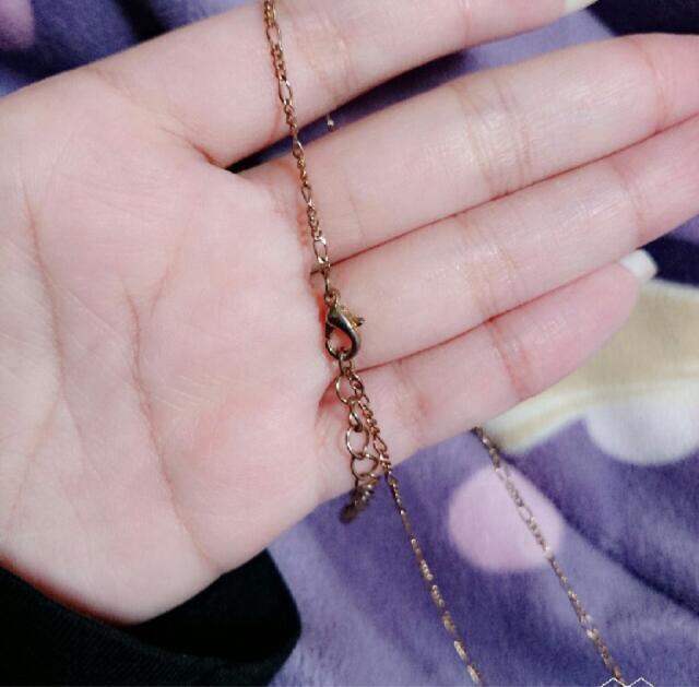 Vigp@LLp[́@ONXlbNX  ANZT[/v 