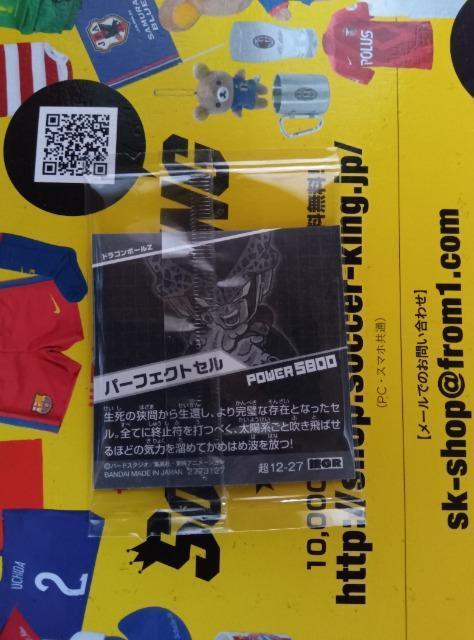 �h���S���{�[���E�G�n�[�X �� �z�r�[�� 