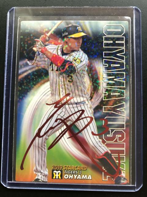 QOPXJr[싅Qe/r-SVE_^CK[XERImԃTCpŁn   g[fBOJ[h 