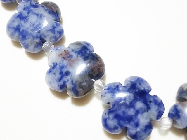 VR΁\[_Cg@@A  ANZT[/v 