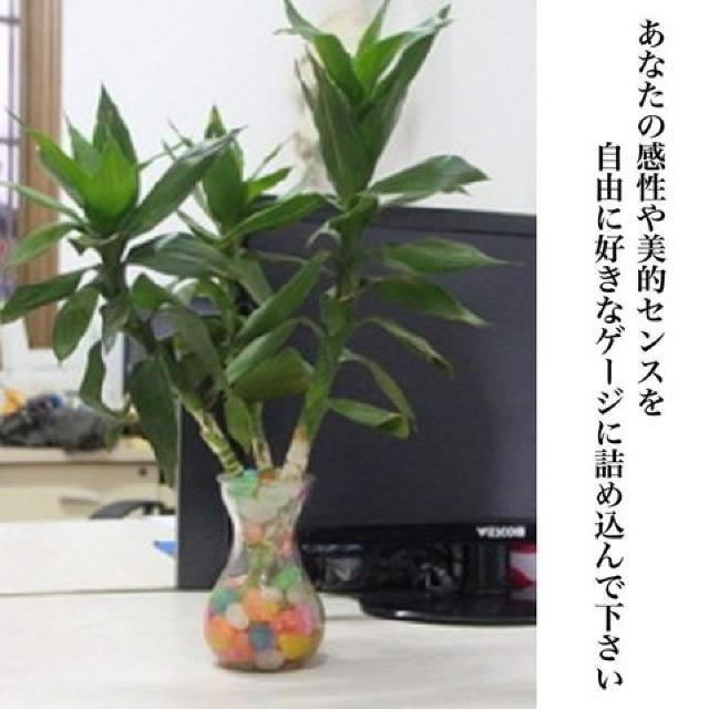 夜光石100個セット < インテリア/ライフ 夜光石100個セット < インテリア/ライフの