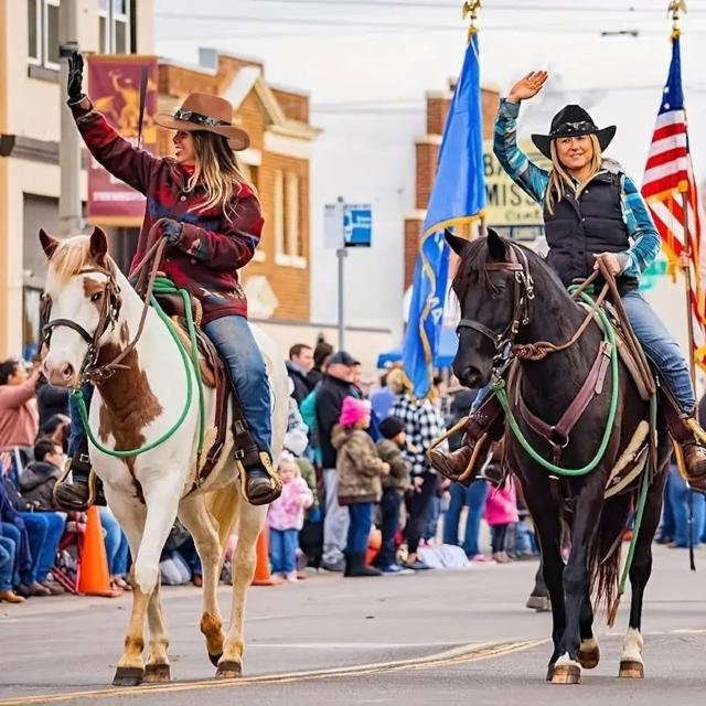 Xi1190~EGX^JE{[CnbgAjƏ̃NVbNȂ΍LJE{[Cnbg J[L  jt@bV 