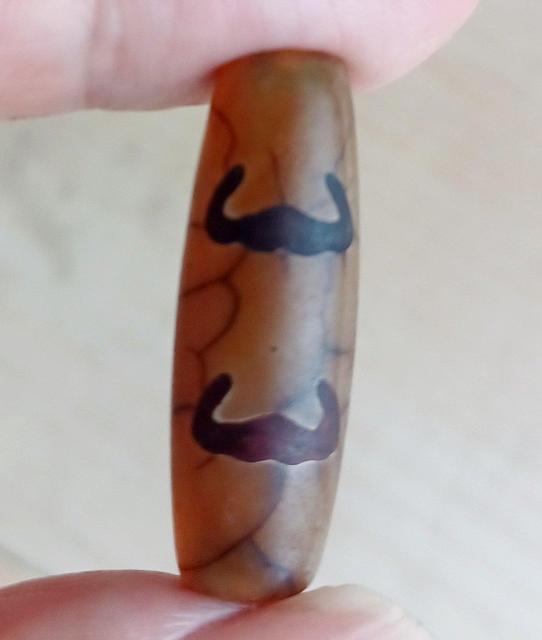 �`�x�b�g �ܕ��Ֆ�V�� �� �y�b�g/��|/���|�� 