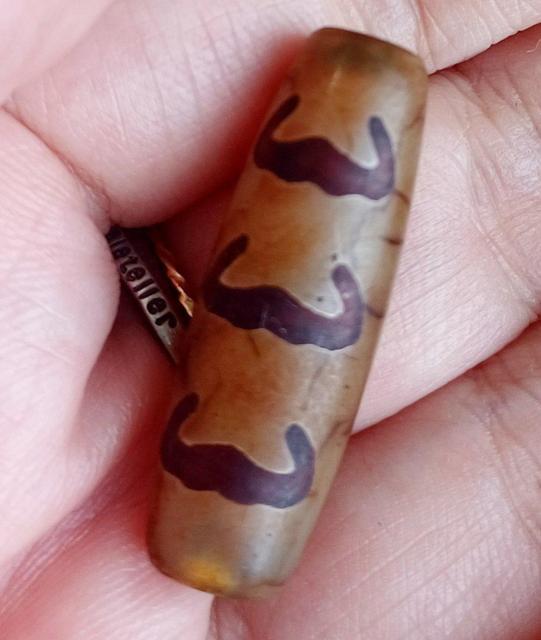 �`�x�b�g �ܕ��Ֆ�V�� �� �y�b�g/��|/���|�� 