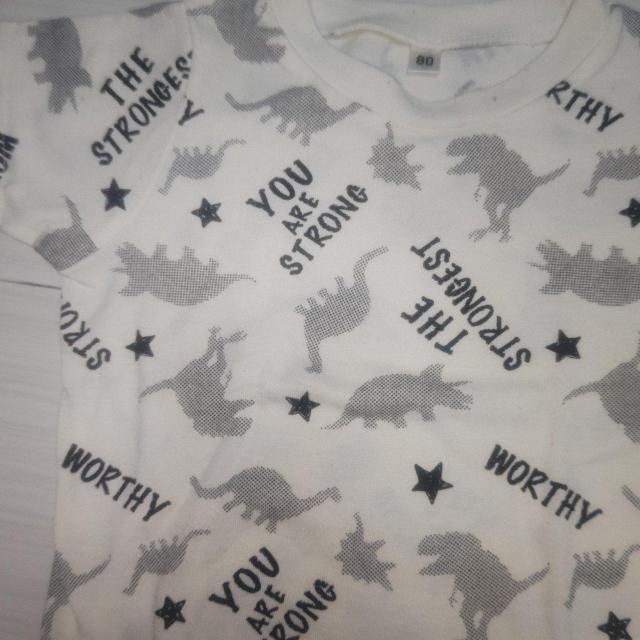 ̔TVc TCY80   LbY/xr[ 