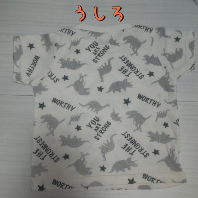 ̔TVc TCY80   LbY/xr[ 