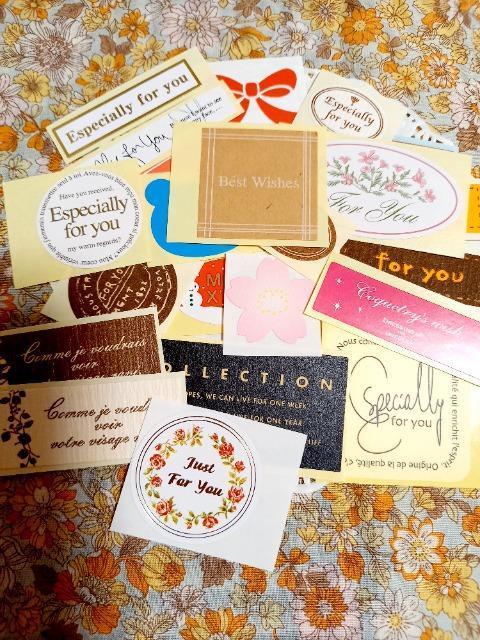 �����������M�t�g�V�[��25����3 