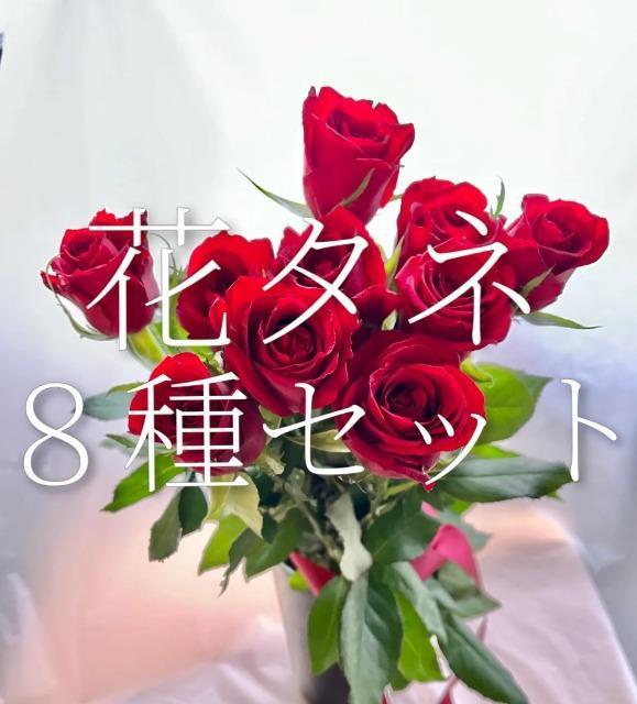 花タネ8種セット+選べる粗品+全国匿名送料無料です\(^o^)/ < ペット/手芸/園芸  花タネ8種セット+選べる粗品+全国匿名送料無料です\(^o^)/  < ペット/手芸/園芸の