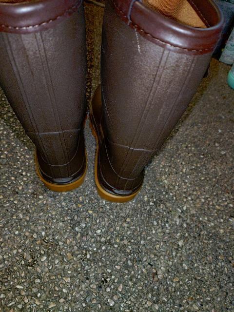 KIDS レディース Pujit 23cm ほぼ未使用 レインブーツ・長靴 < キッズ/ベビー KIDS レディース Pujit 23cm ほぼ未使用 レインブーツ・長靴 < キッズ/ベビーの