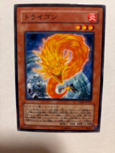 �V�Y���y���E�g���C�S���z  �� �g���[�f�B���O�J�[�h�� 