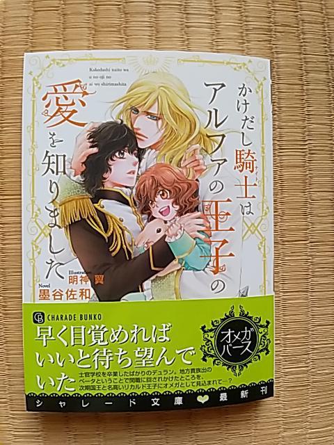 Rm̓At@̉q̈m܂   {/G 