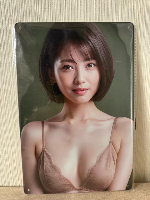 �V�i�@�u���L�Ŕ� �� �z�r�[�� 