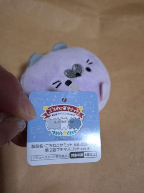 ����˂��T�~�b�g ��2�� �v�`�}�X�R�b�gver.R �� �L �ʂ������ �}�X�R�b�g �� ��������� 