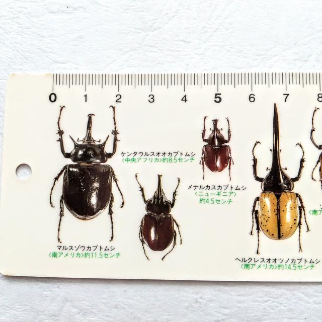 R[@JugV@K@NK^@XP[@QOcm  CeA/Ct 