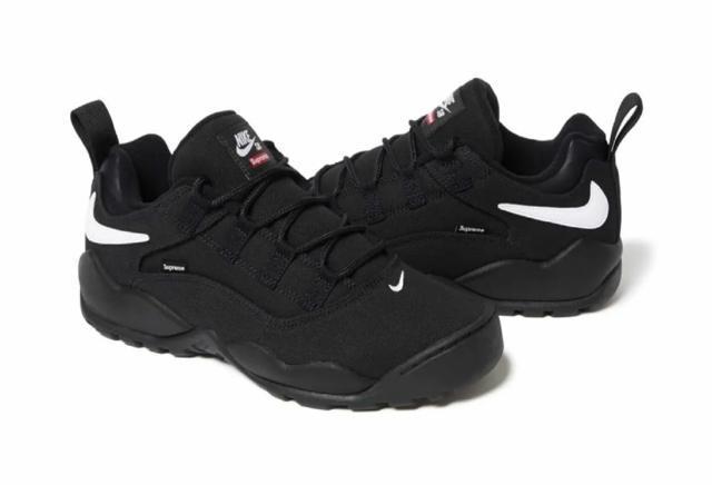 Supreme~Nike SB Darwin Low Desert Black   uh 
