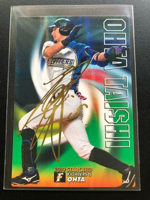 QOPXJr[싅Qe/r-QXEkC{nt@C^[YEc׎mTCpŁn   g[fBOJ[h 