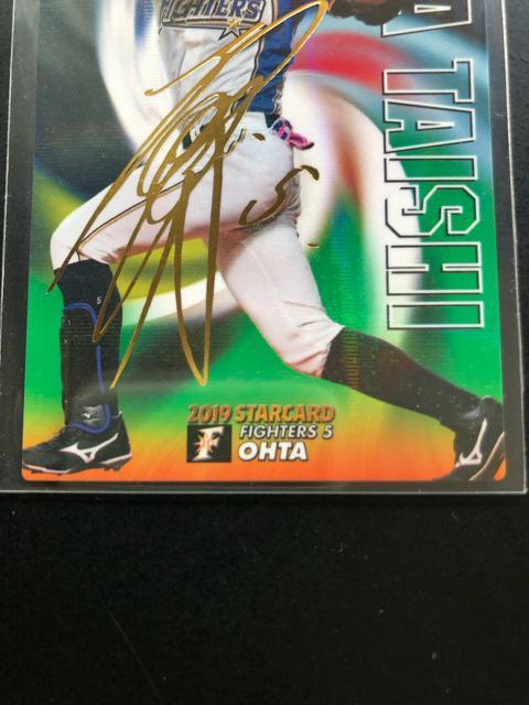 QOPXJr[싅Qe/r-QXEkC{nt@C^[YEc׎mTCpŁn  g[fBOJ[h 