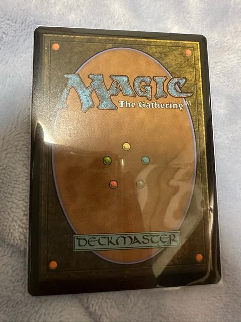 MTG FOIL ��� �� �g���[�f�B���O�J�[�h�� 