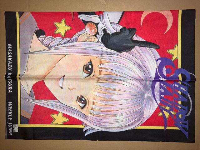 �j���a �V���h�E���f�B SHADOW LADY �z���|�X�^�[ �^�y�X�g���[ �� �A�j��/�R�~�b�N/�L�����N�^�[�� 