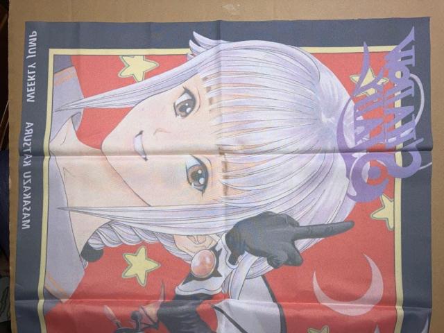 �j���a �V���h�E���f�B SHADOW LADY �z���|�X�^�[ �^�y�X�g���[ �� �A�j��/�R�~�b�N/�L�����N�^�[�� 