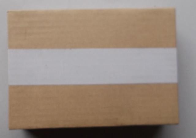 ����2020���������I�����s�b�N�L�O�d�݂Q��������݁i�o�g�~���g���j �� �z�r�[�� 